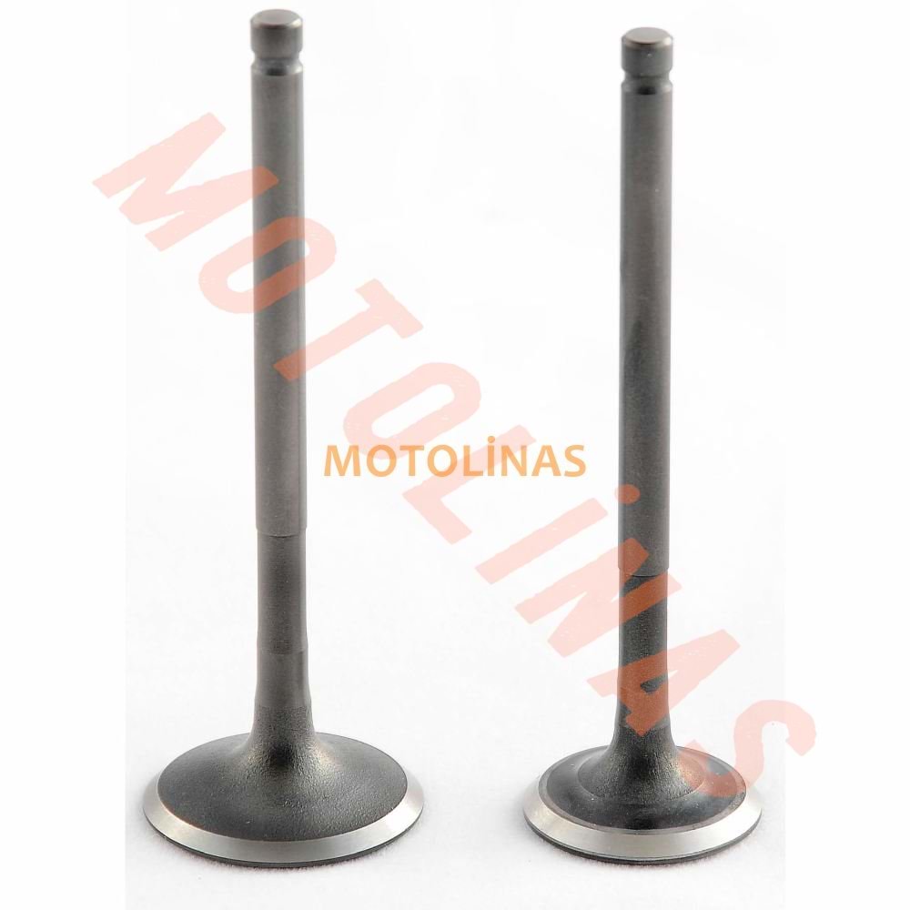 SUBAP TAKIMI [OEM] SPACY - ALPHA - RKS SPONTINI 110