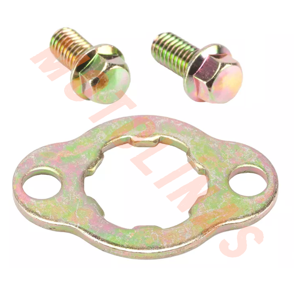 ÖN DİŞLİ PULU [CİVATA DAHİL] - CG