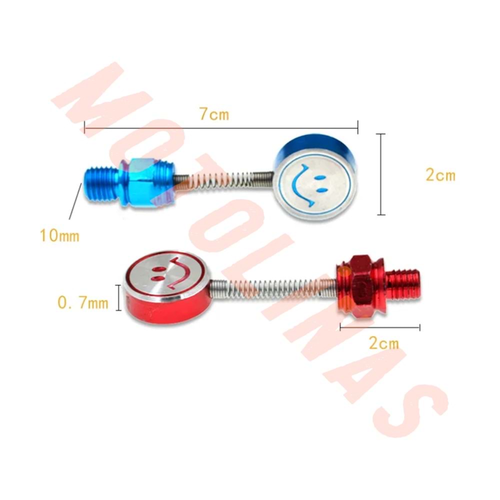 AYNA YERİ CNS DEKOR VİDA 2li FİYAT 10mm [YAYLI MODEL-GÜLÜCÜK] - KARIŞIK RENK