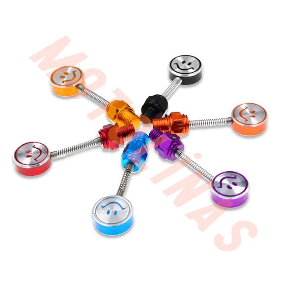 AYNA YERİ CNS DEKOR VİDA 2li FİYAT 10mm [YAYLI MODEL-GÜLÜCÜK] - KARIŞIK RENK