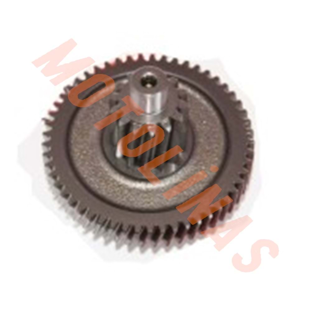 ŞANZUMAN DİŞLİSİ 1 - MONDİAL REVİVAL