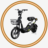 E-Bike-E-Soocter YP