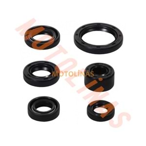 KEÇE TAKIMI [6 LI SET] CUB