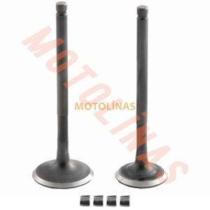 SUBAP TAKIMI [TIRNAKLI] [DQ] 50cc