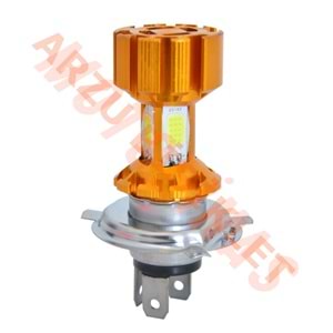 ITEM-1 H 4 TİPİ [4COB H/L 12/24W] KISA-UZUN HUZMELİ LED AMPUL - BELGELİ