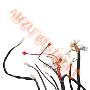 ELEKTRİK TESİSATI [3 TEKERLEKLİ KASALI] E-BIKE