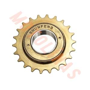 ARKA DİŞLİ 20 DİŞ RUBLE TAM BİLYALI