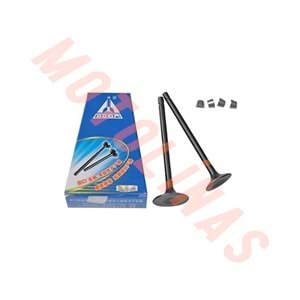 SUBAP 100cc KARACA - CG100 / CUP100