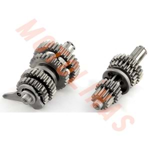 ŞANZIMAN KOMPLE KÜÇÜK - BÜYÜK DİŞLİ - CUP