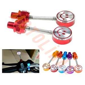 AYNA YERİ CNS DEKOR VİDA 2li FİYAT 10mm [YAYLI MODEL-GÜLÜCÜK] - KARIŞIK RENK