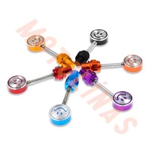 AYNA YERİ CNS DEKOR VİDA 2li FİYAT 10mm [YAYLI MODEL-GÜLÜCÜK] - KARIŞIK RENK