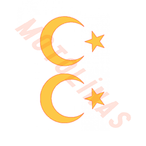 AYYILDIZ BAYRAK STİCKER [FOLYO ETİKET] [GOLD] 8cm 2Lİ - UNİVERSAL