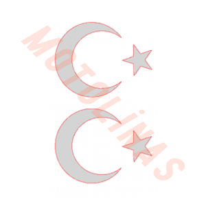 AYYILDIZ BAYRAK STİCKER [FOLYO ETİKET] [NİKEL] 8cm 2Lİ - UNİVERSAL