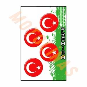 TÜRK BAYRAĞI (Boyut : 2.5X2.5cm) DÖRTLÜ DAMLA ETİKET - MUHTELİF