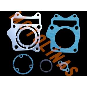 SİLİNDİR ALT-ÜST CONTA SETİ OEM- TVS RAİDER 125 NTORQ 125
