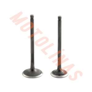 SUBAP TAKIMI N8011700+N8011710 - TVS RAİDER 125 / NTORQ 125