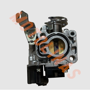 GAZ KELEBEĞİ N6040730 - TVS RAIDER 125