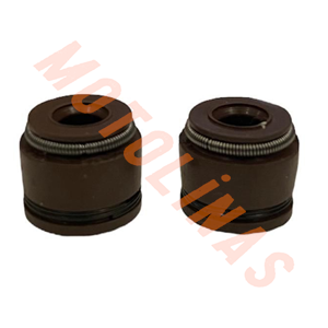 SİBOP KEÇESİ TAKIM - HONDA SPACY