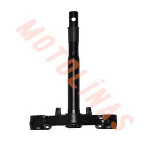 ALT PLATİN, ALT MAŞA - KUBA ZENZERO