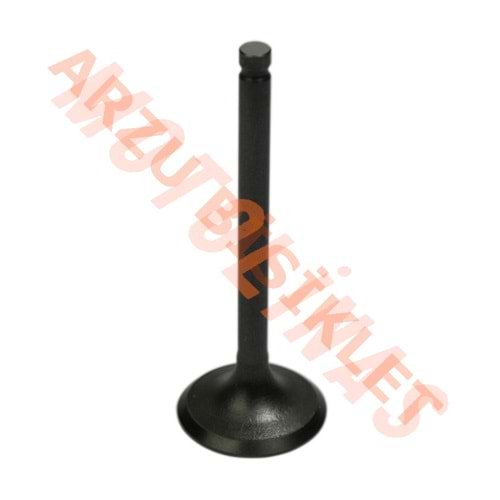 EMME SUBAP [ORİJİNAL] - TVS JUPITER 125 - [N3011140]