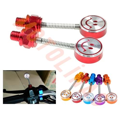 AYNA YERİ CNS DEKOR VİDA 2li FİYAT 10mm [YAYLI MODEL-GÜLÜCÜK] - KARIŞIK RENK