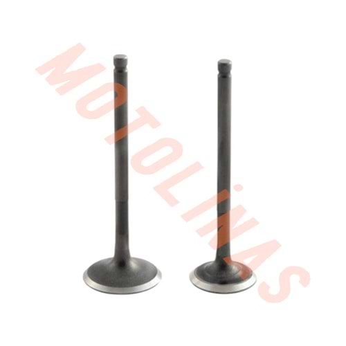 SUBAP TAKIMI N8011700+N8011710 - TVS RAİDER 125 / NTORQ 125