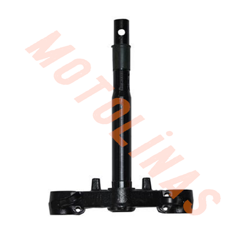 ALT PLATİN, ALT MAŞA - KUBA ZENZERO